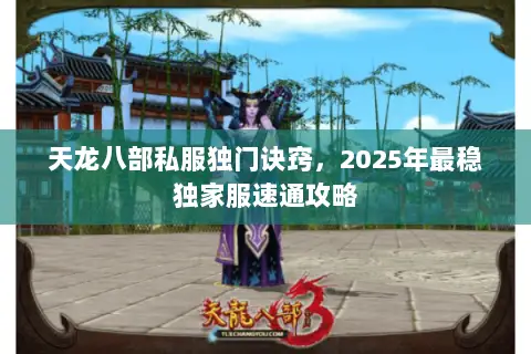 天龙八部私服独门诀窍,2025年最稳独家服速通攻略 天龙八部私服独门诀窍,2025年最稳独家服速通攻略