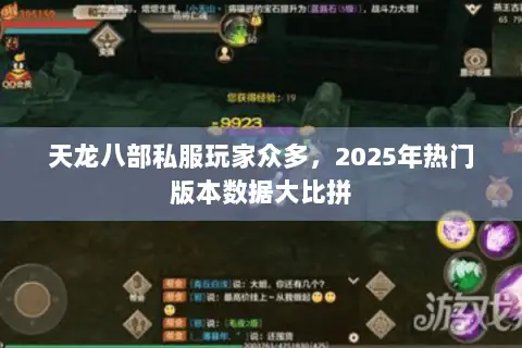 天龙八部私服玩家众多,2025年热门版本数据大比拼 天龙八部私服玩家众多,2025年热门版本数据大比拼
