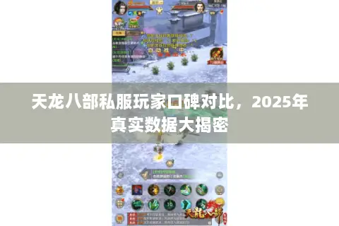 天龙八部私服玩家口碑对比,2025年真实数据大揭密 天龙八部私服玩家口碑对比,2025年真实数据大揭密