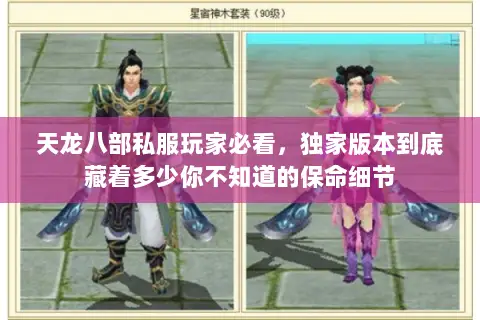 天龙八部私服玩家必看，独家版本到底藏着多少你不知道的保命细节