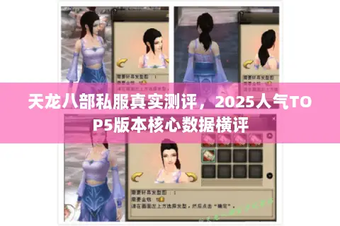 天龙八部私服真实测评,2025人气TOP5版本核心数据横评 天龙八部私服真实测评,2025人气TOP5版本核心数据横评
