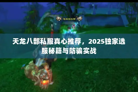 天龙八部私服真心推荐,2025独家选服秘籍与防骗实战 天龙八部私服真心推荐,2025独家选服秘籍与防骗实战