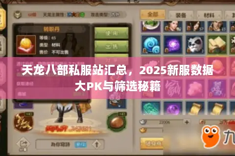 天龙八部私服站汇总，2025新服数据大PK与筛选秘籍