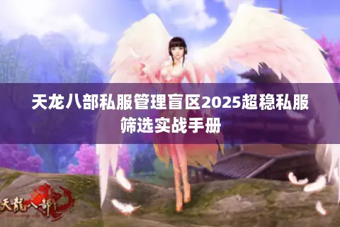 天龙八部私服管理盲区2025超稳私服筛选实战手册 天龙八部私服管理盲区2025超稳私服筛选实战手册