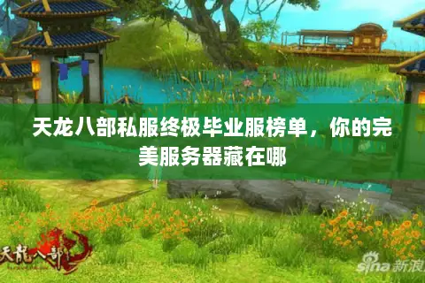 天龙八部私服终极毕业服榜单,你的完美服务器藏在哪 天龙八部私服终极毕业服榜单,你的完美服务器藏在哪