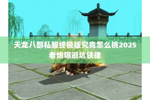天龙八部私服终极版究竟怎么挑2025老炮曝避坑铁律 天龙八部私服终极版究竟怎么挑2025老炮曝避坑铁律