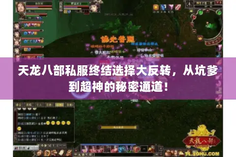 天龙八部私服终结选择大反转,从坑爹到超神的秘密通道! 天龙八部私服终结选择大反转,从坑爹到超神的秘密通道!