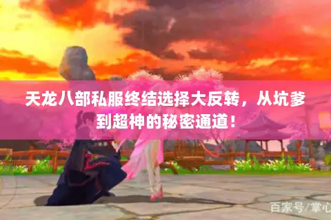 天龙八部私服终结选择大反转,从坑爹到超神的秘密通道! 天龙八部私服终结选择大反转,从坑爹到超神的秘密通道!