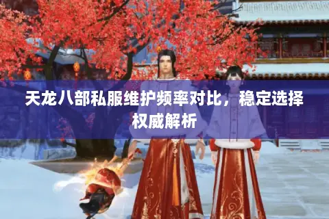 天龙八部私服维护频率对比,稳定选择权威解析 天龙八部私服维护频率对比,稳定选择权威解析
