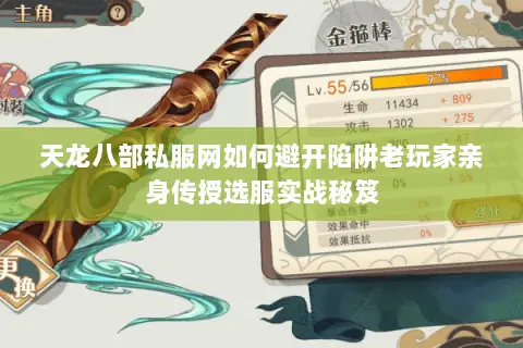 天龙八部私服网如何避开陷阱老玩家亲身传授选服实战秘笈