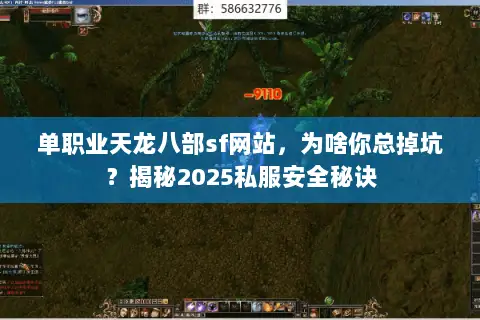 单职业天龙八部sf网站，为啥你总掉坑？揭秘2025私服安全秘诀