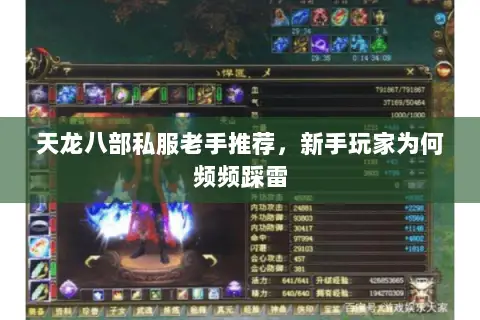 天龙八部私服老手推荐，新手玩家为何频频踩雷
