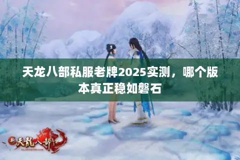 天龙八部私服老牌2025实测,哪个版本真正稳如磐石 天龙八部私服老牌2025实测,哪个版本真正稳如磐石