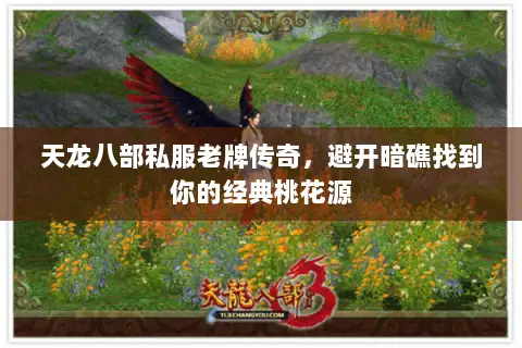 天龙八部私服老牌传奇,避开暗礁找到你的经典桃花源 天龙八部私服老牌传奇,避开暗礁找到你的经典桃花源