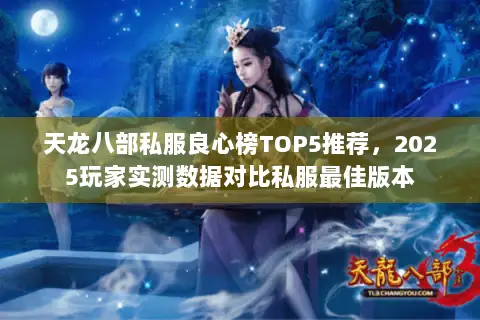 天龙八部私服良心榜TOP5推荐，2025玩家实测数据对比私服最佳版本
