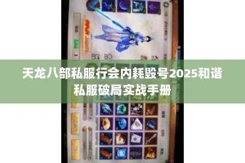 天龙八部私服行会内耗毁号2025和谐私服破局实战手册