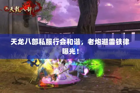 天龙八部私服行会和谐,老炮避雷铁律曝光! 天龙八部私服行会和谐,老炮避雷铁律曝光!