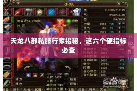 天龙八部私服行家揭秘，这六个硬指标必查