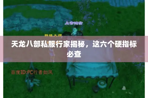 天龙八部私服行家揭秘，这六个硬指标必查