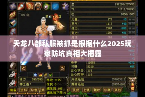 天龙八部私服被抓是根据什么2025玩家防坑真相大揭露