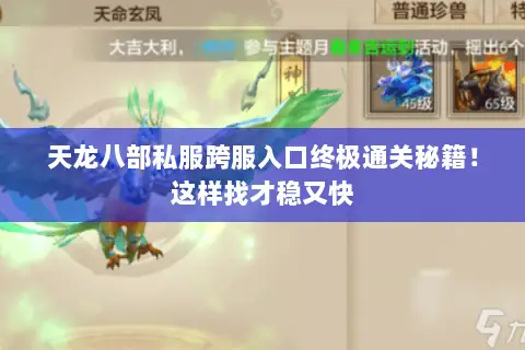 天龙八部私服跨服入口终极通关秘籍！这样找才稳又快