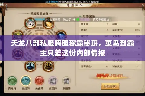 天龙八部私服跨服称霸秘籍，菜鸟到霸主只差这份内部情报