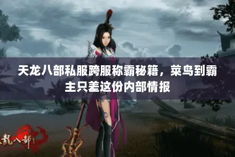 天龙八部私服跨服称霸秘籍，菜鸟到霸主只差这份内部情报