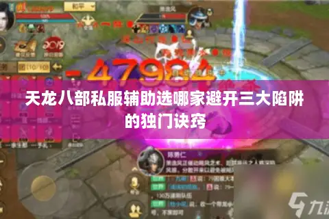 天龙八部私服辅助选哪家避开三大陷阱的独门诀窍 天龙八部私服辅助选哪家避开三大陷阱的独门诀窍