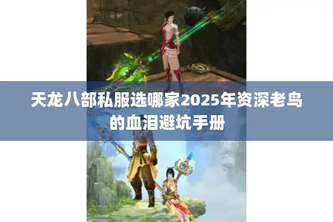 天龙八部私服选哪家2025年资深老鸟的血泪避坑手册 天龙八部私服选哪家2025年资深老鸟的血泪避坑手册