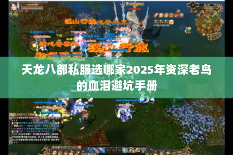 天龙八部私服选哪家2025年资深老鸟的血泪避坑手册 天龙八部私服选哪家2025年资深老鸟的血泪避坑手册