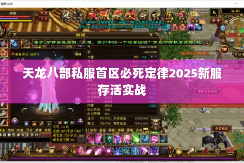 天龙八部私服首区必死定律2025新服存活实战