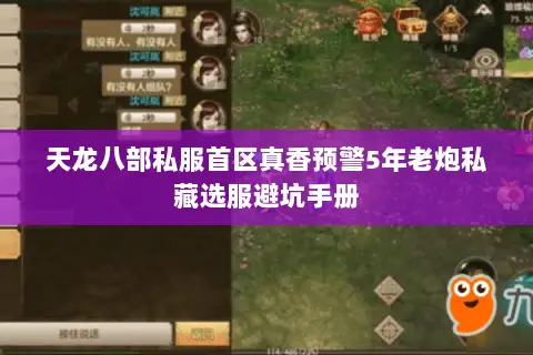 天龙八部私服首区真香预警5年老炮私藏选服避坑手册 天龙八部私服首区真香预警5年老炮私藏选服避坑手册