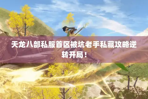 天龙八部私服首区被坑老手私藏攻略逆转开局! 天龙八部私服首区被坑老手私藏攻略逆转开局!