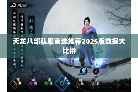 天龙八部私服首选推荐2025版数据大比拼 天龙八部私服首选推荐2025版数据大比拼