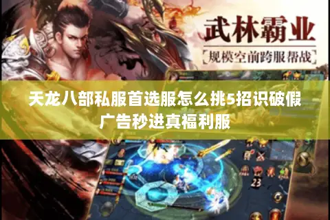 天龙八部私服首选服怎么挑5招识破假广告秒进真福利服 天龙八部私服首选服怎么挑5招识破假广告秒进真福利服