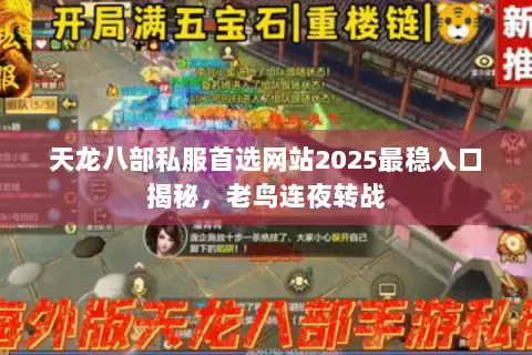 天龙八部私服首选网站2025最稳入口揭秘,老鸟连夜转战 天龙八部私服首选网站2025最稳入口揭秘,老鸟连夜转战