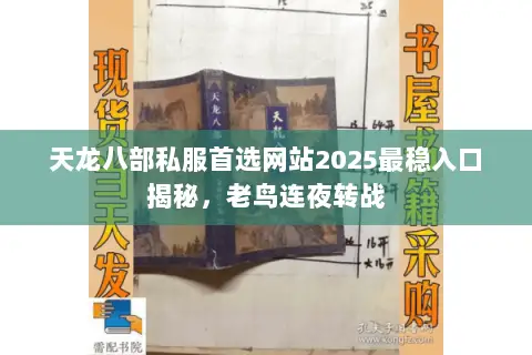 天龙八部私服首选网站2025最稳入口揭秘,老鸟连夜转战 天龙八部私服首选网站2025最稳入口揭秘,老鸟连夜转战