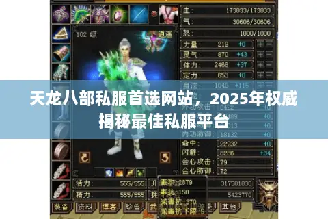 天龙八部私服首选网站，2025年权威揭秘最佳私服平台