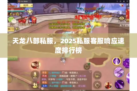 天龙八部私服，2025私服客服响应速度排行榜