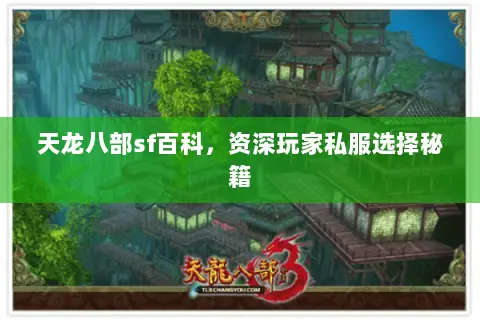 天龙八部sf百科,资深玩家私服选择秘籍 天龙八部sf百科,资深玩家私服选择秘籍