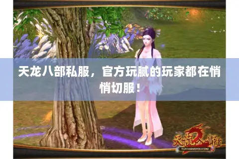 天龙八部私服，官方玩腻的玩家都在悄悄切服！