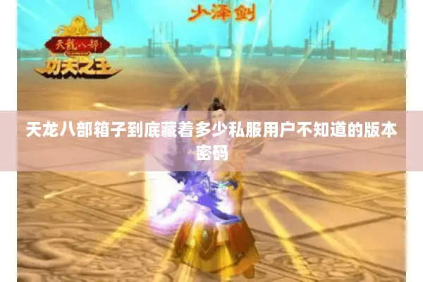 天龙八部箱子到底藏着多少私服用户不知道的版本密码 天龙八部箱子到底藏着多少私服用户不知道的版本密码