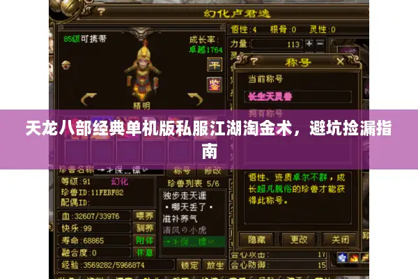 天龙八部经典单机版私服江湖淘金术,避坑捡漏指南 天龙八部经典单机版私服江湖淘金术,避坑捡漏指南