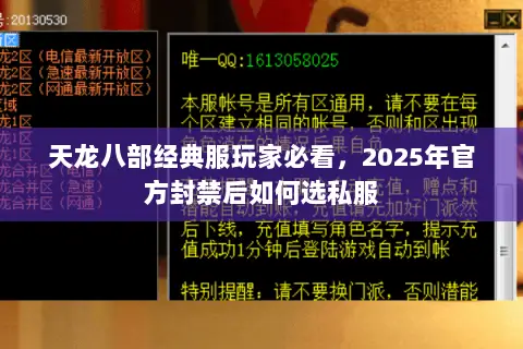天龙八部经典服玩家必看，2025年官方封禁后如何选私服