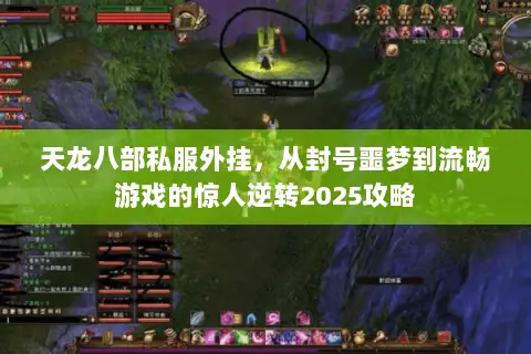 天龙八部私服外挂,从封号噩梦到流畅游戏的惊人逆转2025攻略 天龙八部私服外挂,从封号噩梦到流畅游戏的惊人逆转2025攻略