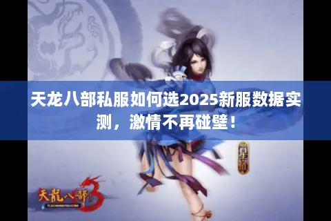 天龙八部私服如何选2025新服数据实测，激情不再碰壁！