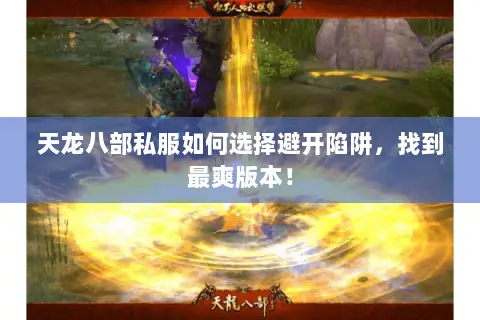 天龙八部私服如何选择避开陷阱,找到最爽版本! 天龙八部私服如何选择避开陷阱,找到最爽版本!