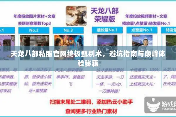 天龙八部私服官网终极甄别术，避坑指南与巅峰体验秘籍
