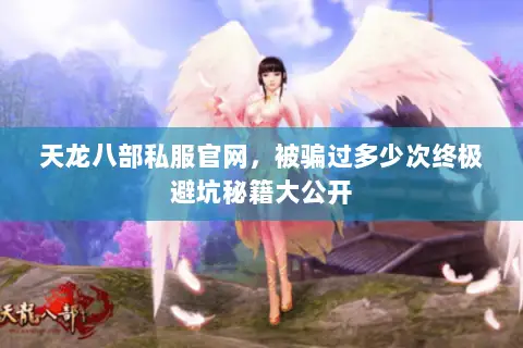 天龙八部私服官网，被骗过多少次终极避坑秘籍大公开