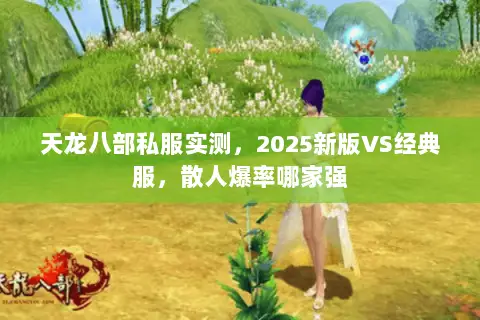 天龙八部私服实测,2025新版VS经典服,散人爆率哪家强 天龙八部私服实测,2025新版VS经典服,散人爆率哪家强